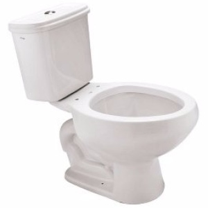 BACIA COM CAIXA ACOPLADA ALPÍNIA 